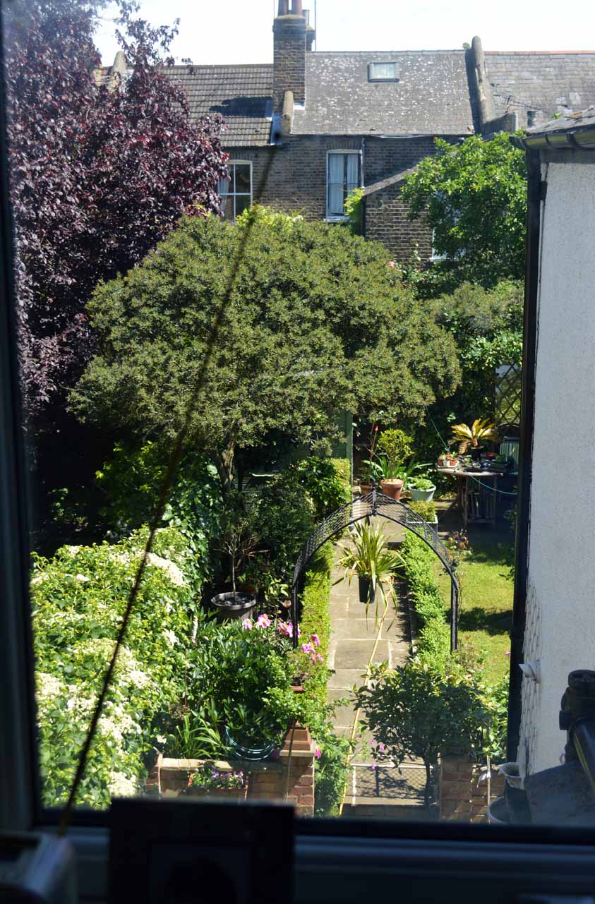 view from window 2017